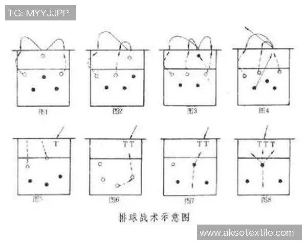武汉排球队进攻战术深度分析与实战应用探讨