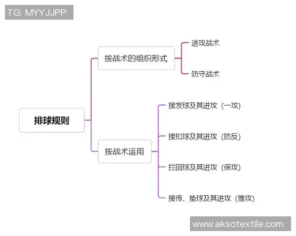 武汉排球队的转换打法深度解析与战术创新探讨