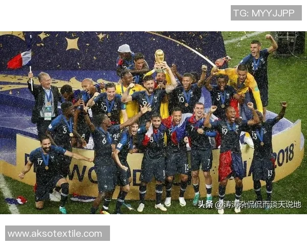 06年世界杯经典对决巴西与法国的巅峰对决回顾