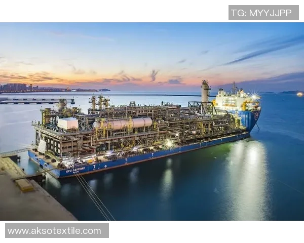 亚马尔地区的资源开发与国际合作新机遇分析