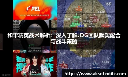 和平精英战术解析：深入了解JDG团队默契配合与战斗策略