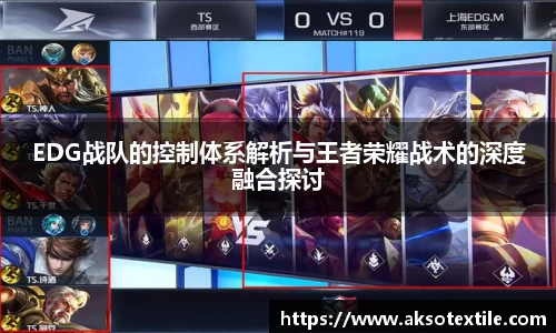 EDG战队的控制体系解析与王者荣耀战术的深度融合探讨