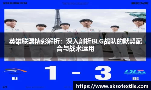 英雄联盟精彩解析：深入剖析BLG战队的默契配合与战术运用