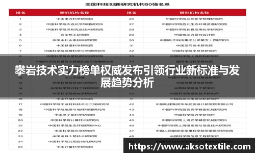 攀岩技术实力榜单权威发布引领行业新标准与发展趋势分析